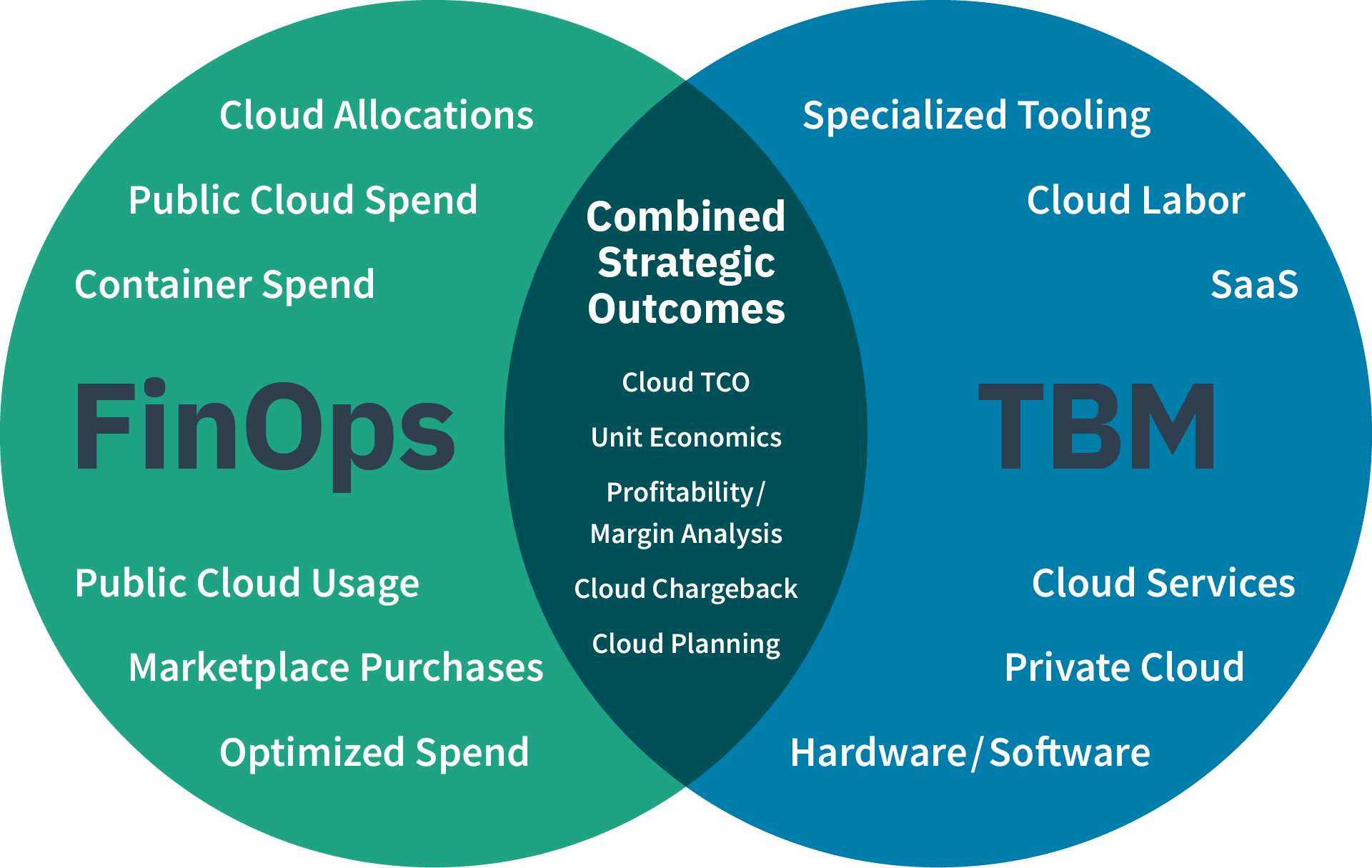 A diagram that describes cloud related aspects that both FinOps and TBM share